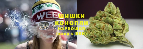 шишки Беломорск