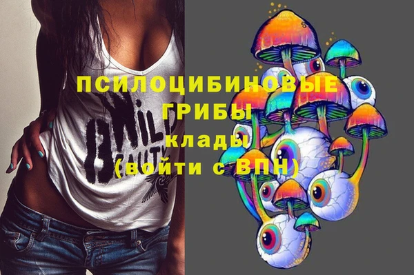 гидра Белоозёрский