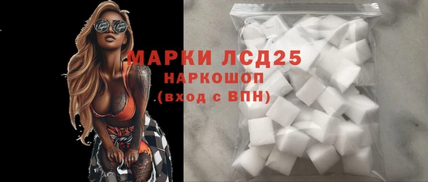 шишки Беломорск