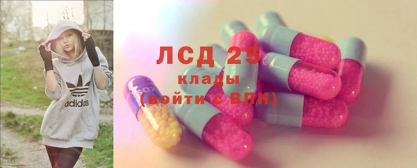 шишки Беломорск