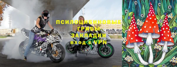 шишки Беломорск
