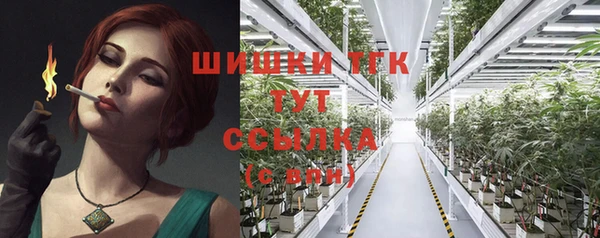 шишки Беломорск