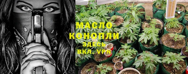 шишки Беломорск